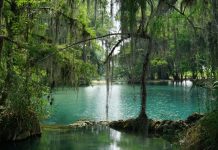 San Luis Potosí nature walks