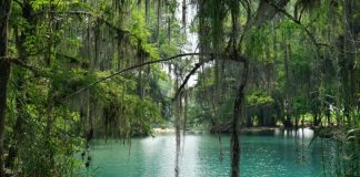 San Luis Potosí nature walks