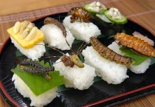 Bug sushi