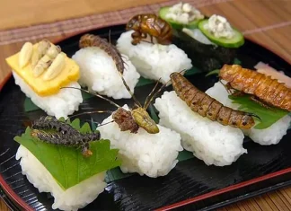 Bug sushi