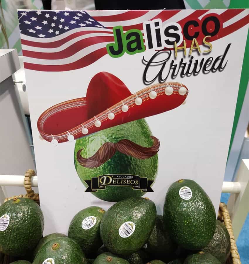 An ad for Jalisco avocados