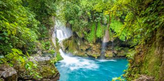 Waterfall in the Huasteca Potosina