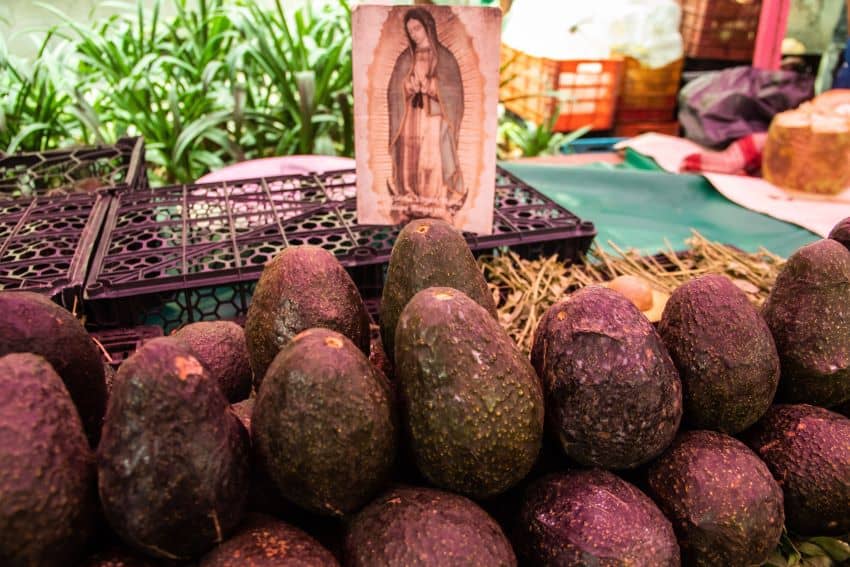Avocados with the image of Virgin of Guadalupe