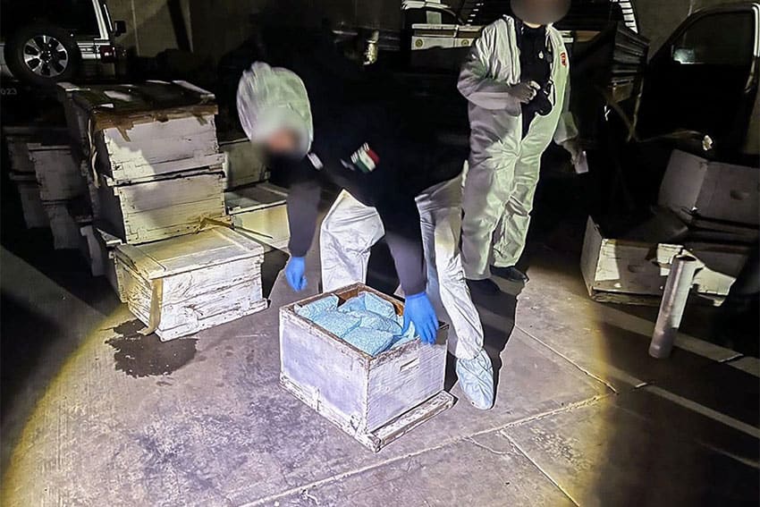 Mexican agents confiscating boxes of fentanyl packets