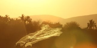 A fisherman in Morelos