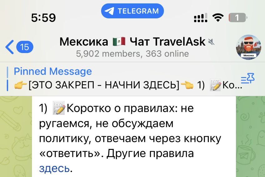 Screenshot of a Russian chat