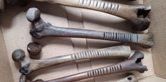 5 human bones, many of them femurs, in a cardboard box. They're among many ancient artifacts found on the island located in Lake Patzcuaro, Michoacan.