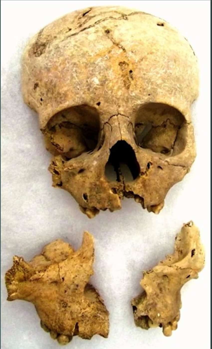 A skull from Chichén Itzá