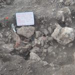 An impressive amount of archaeological findings have been uncovered near Section 7 of the Maya Train, which runs between Chetumal, Quintana Roo, and Escárcega, Campeche.