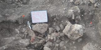 An impressive amount of archaeological findings have been uncovered near Section 7 of the Maya Train, which runs between Chetumal, Quintana Roo, and Escárcega, Campeche.