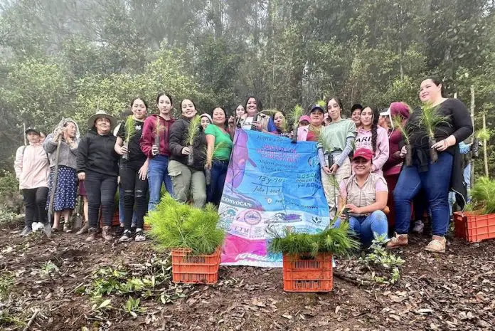 A women-led initiative to reforest central Guerrero is underway this week