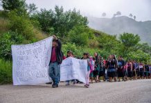 A long line of Mexican men women and children from Chiapas marching on a highway, holding makeshift cloth signs saying they were forced by violence to flee into Guatemala