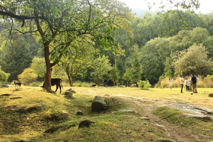 Los Dinamos National Park (María Ruiz)