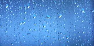 Last month, Mexico saw 49% more rainfall than the average for June.