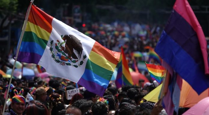 Mexico City’s 46th pride parade draws over 260,000 A flag flies at the 2024 Mexico City pride parade