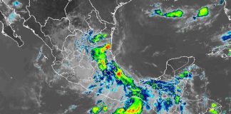 Tropical Storm Chris made landfall in the municipality of Vega de Alatorre, Veracruz, at midnight on Monday.