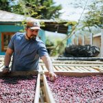 A Mexican coffee bean farmer