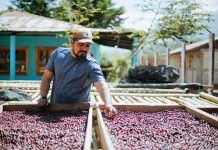 A Mexican coffee bean farmer