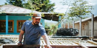 A Mexican coffee bean farmer