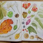 Hurricane Beryl aftermath art