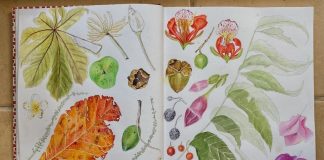 Hurricane Beryl aftermath art