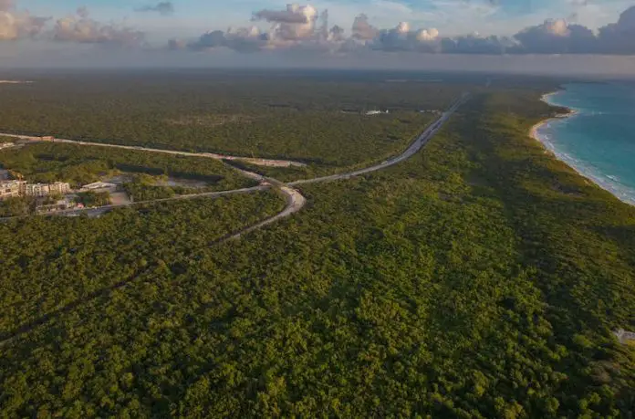 The Quintana Roo municipalities of Tulum and Felipe Carrillo Puerto are projected to see their populations increase by 447%.