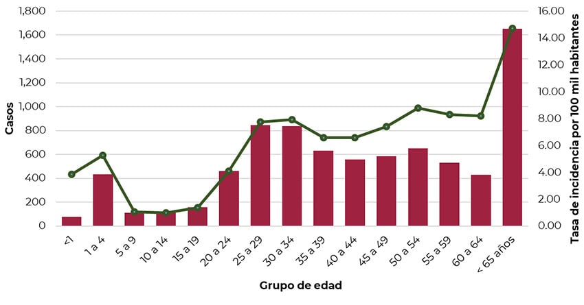 A bar graph of COVID-19 cases in Mexico in 2024, broken down by several age groups.