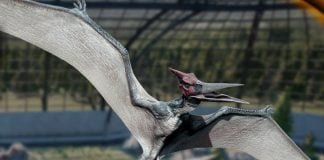 animatronic pterodactyl in flight from Jurassic World exhibition in Mexico City