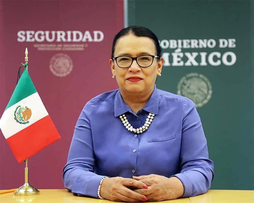 A portrait of Rosa Icela Rodríguez with Mexican flags.