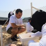 Cancún officials save sea turtle eggs from approaching Hurricane Beryl Cancun officials on Playa Delfines putting dug up sea turtle eggs into Styrofoam coolers ahead of Hurricane Beryl