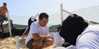 Cancun officials on Playa Delfines putting dug up sea turtle eggs into Styrofoam coolers ahead of Hurricane Beryl