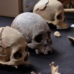 Three skulls from ancient skeletons found near Mexico City's Felipe Angeles International Aiport on display on a piece of cloth