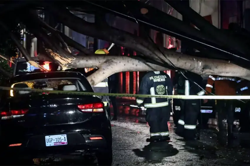 Downed tree due to torrential rains in front of blocked car in Puebla City, Mexico. Policeman in rain gear looks on.