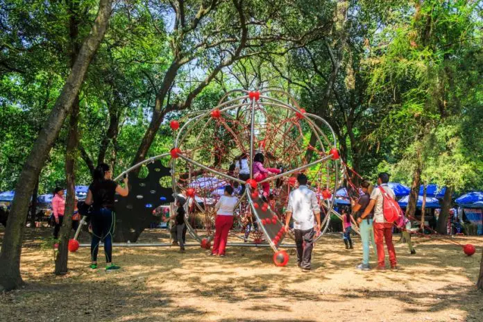 Best family activities in Mexico City.