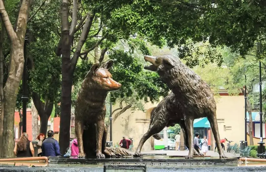 Coyoacan square