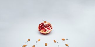 Almonds swimming towards a pomegranate, representing surrogacy.