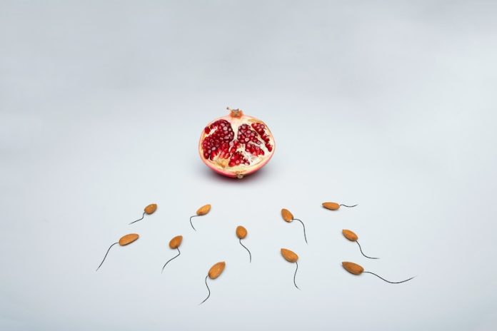 Almonds swimming towards a pomegranate, representing surrogacy.