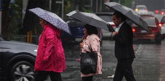 Three Mexico City residents in single file, crossing a rainy street carrying umbrellas.