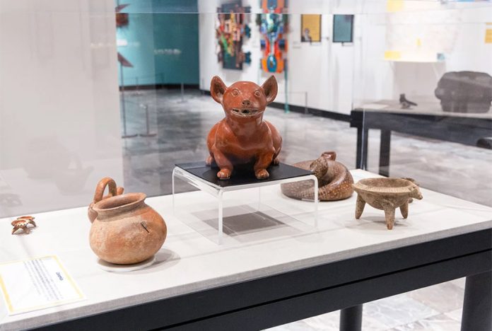 Mexican artifacts including pottery figure of a dog and dishware on display at the Nashville Parthenon museum