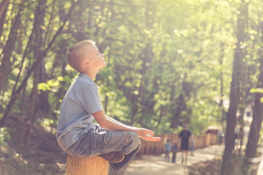 A young child in the forest