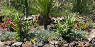 The Tikkun Eco Center