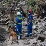 Earthquake dog searching the rubble