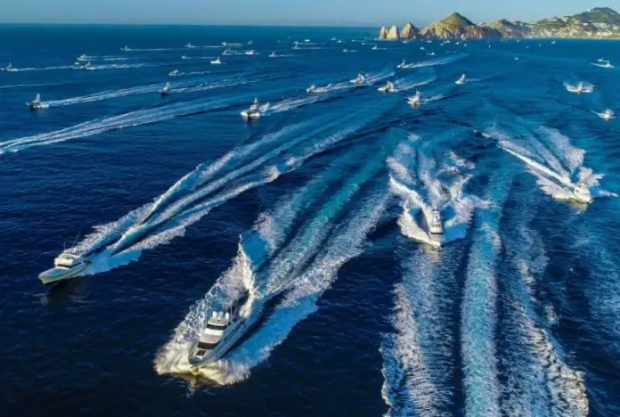 Bisbee’s Los Cabos Fishing Tournaments