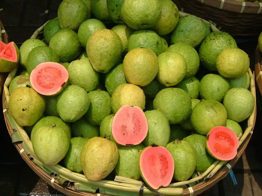 Basket with guavas.