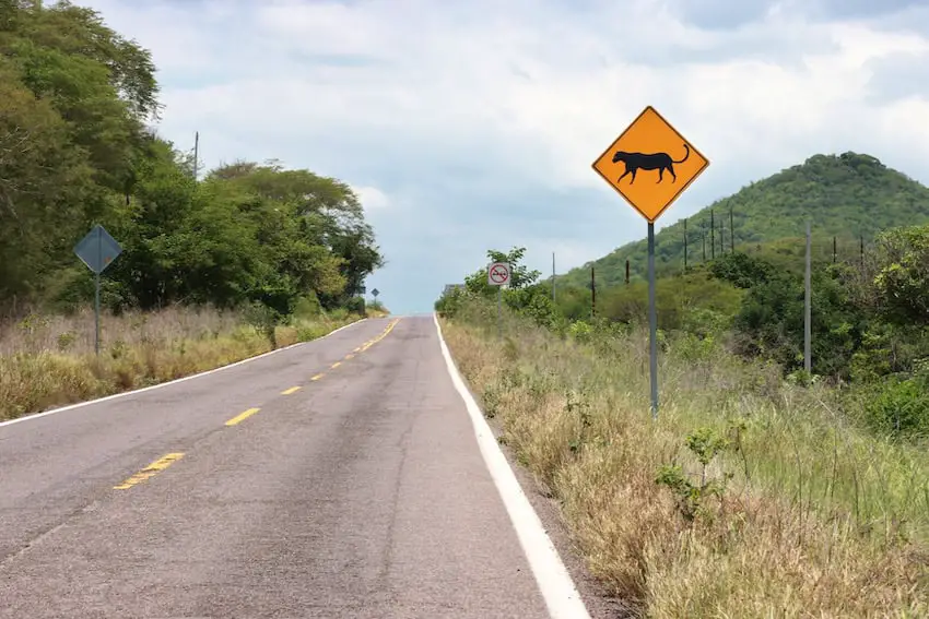 Jaguar road sign in Sinaloa