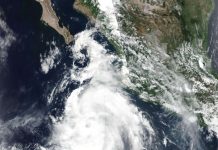 Tropical Storm Carlotta satellite image