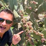 Travis Bembenek points to prickly pear fruit