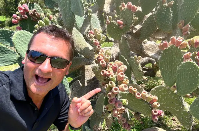 Travis Bembenek points to prickly pear fruit