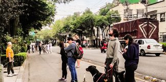 People stand in the street with dogs and babies after the Mexico City earthquake alarm went off.