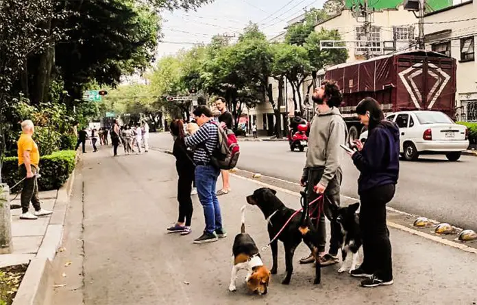 People stand in the street with dogs and babies after the Mexico City earthquake alarm went off.